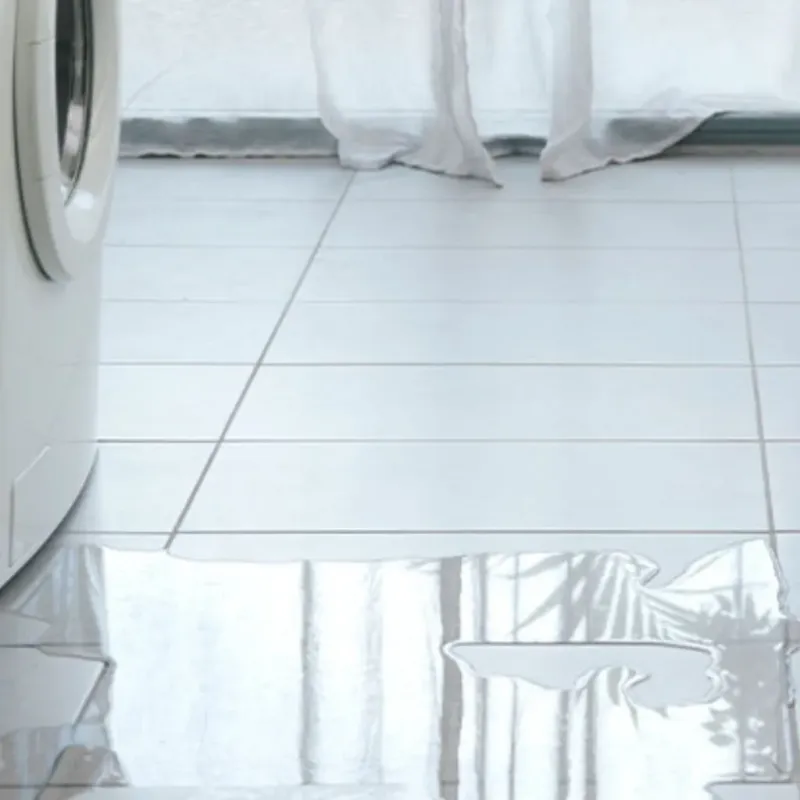 Appliance Leak Cleanup in Randolph County, IL