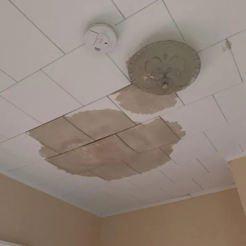 Ceiling Water Damage Repair in Randolph County, IL