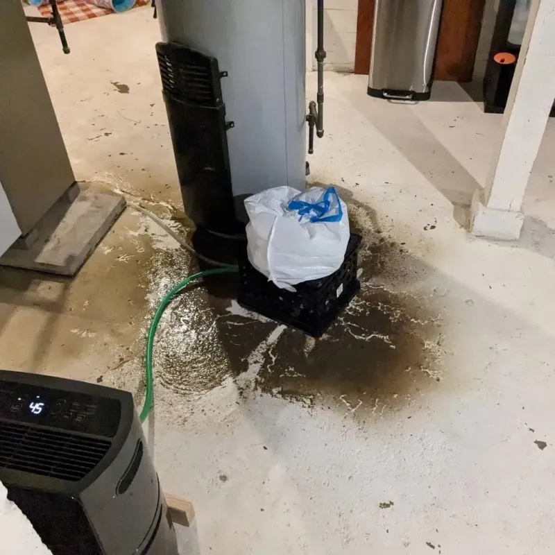 Sewage Backup Cleanup Service in Randolph County, IL